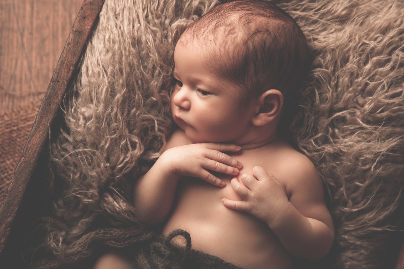 Newbornbilder, 
Babyfotografie, 